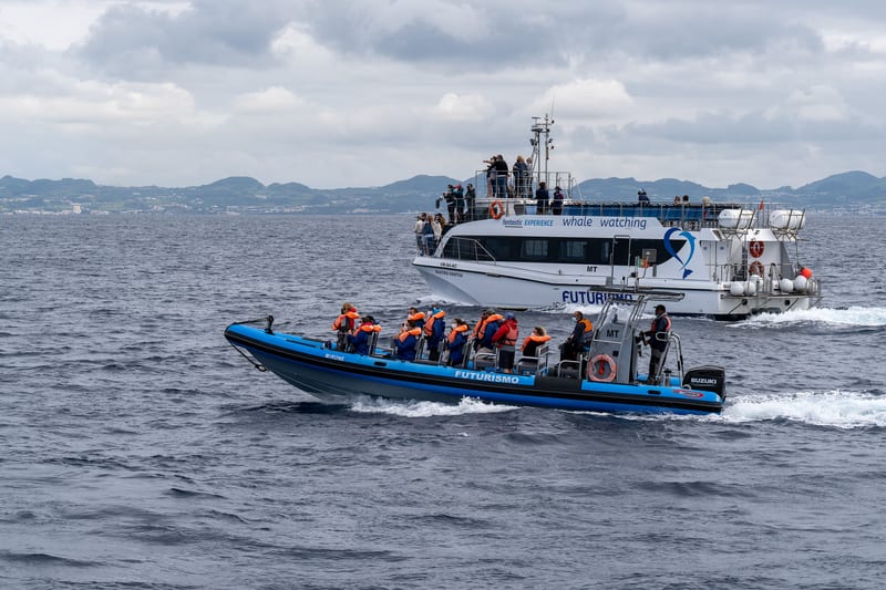 Atlantic boat experience off São Miguel